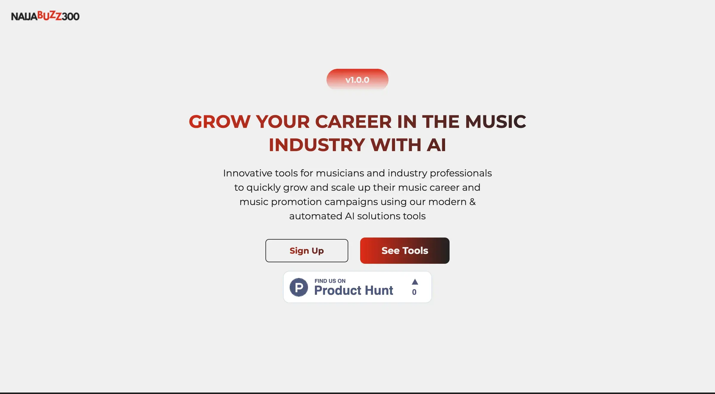 NaijaBuzz300 - AI Solution Tools for the Music Industry